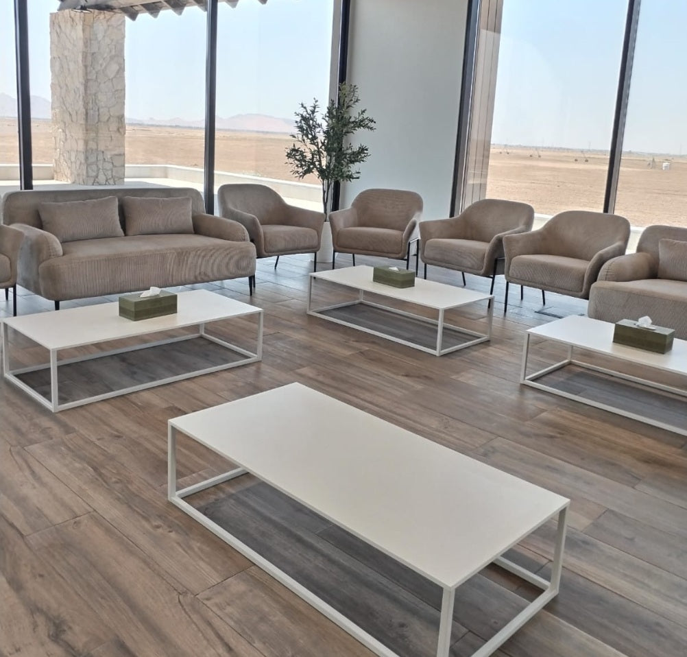 Du_Roy_chairs_and_sofa_Geo_white_coffee