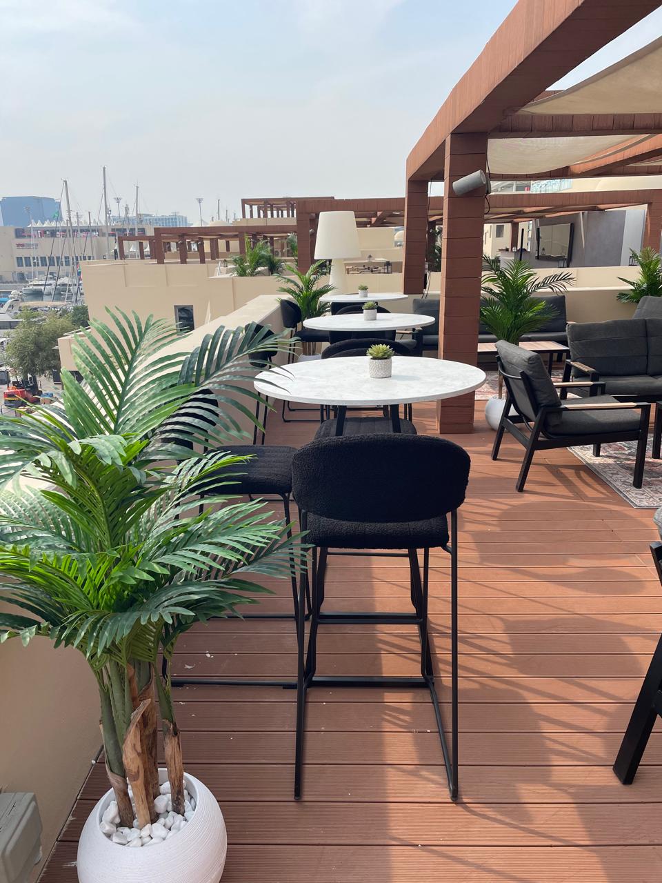 Palm Tree 150cm DesertRiver.rentals