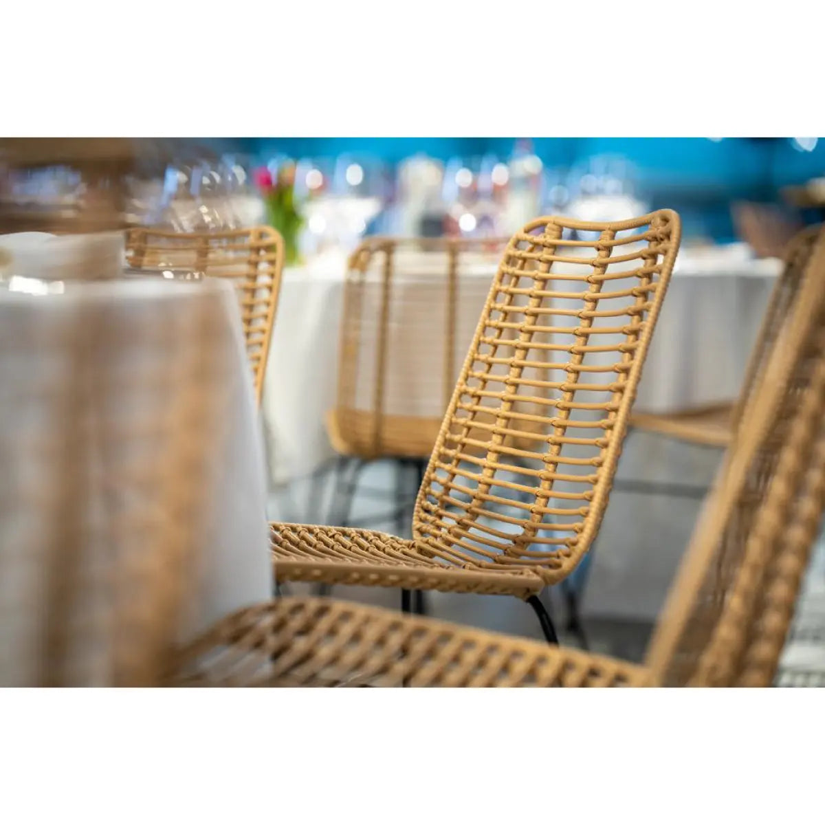 Palm springs dining chair Desert River Rentals