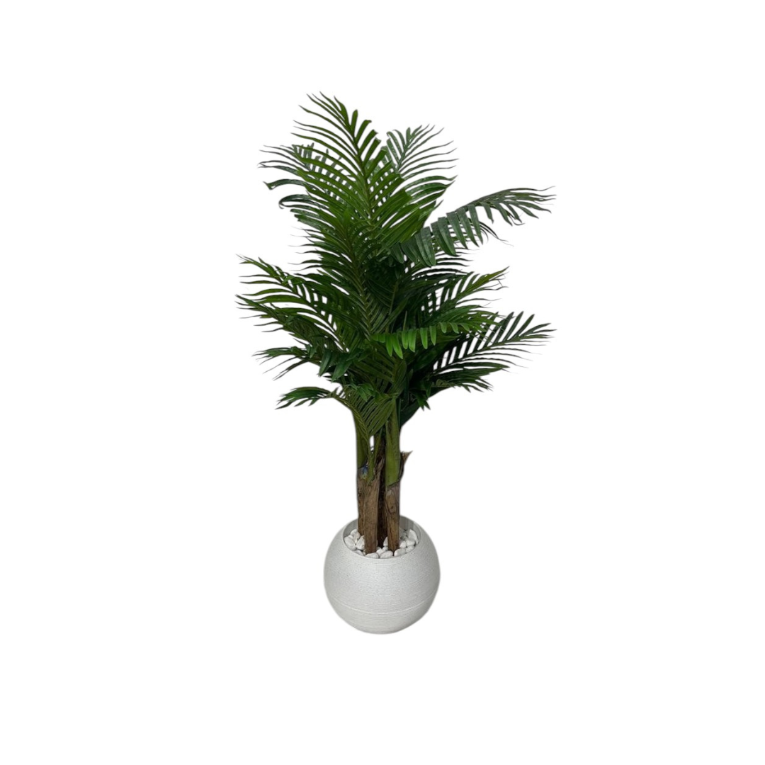 Palm tree 150cm DesertRiver.rentals