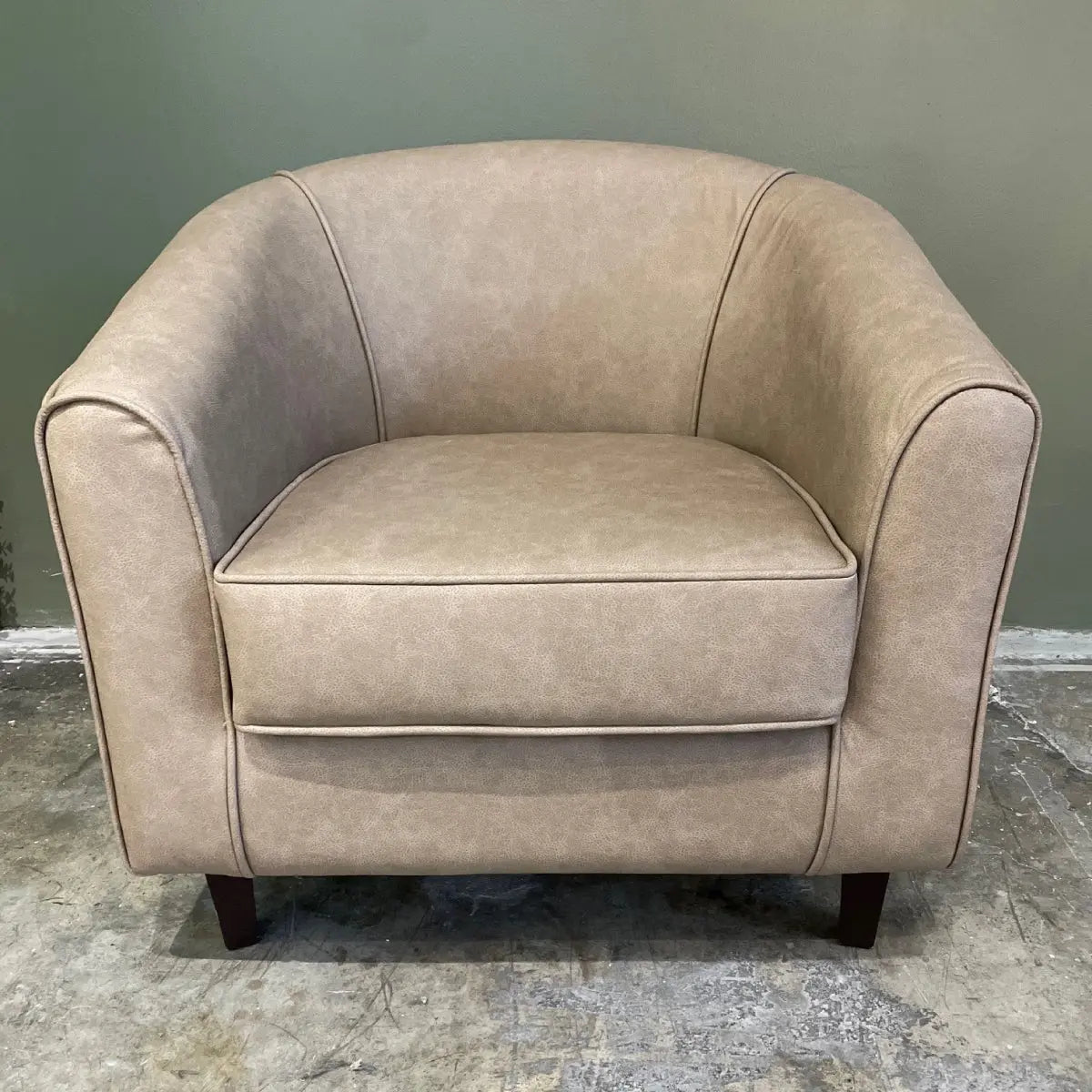 Panther armchair desert Desert River Rentals