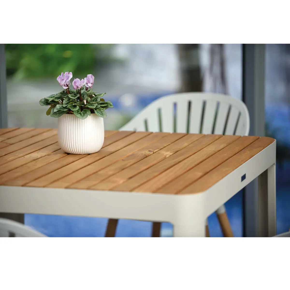 Portals 8 seater dining table Desert River Rentals