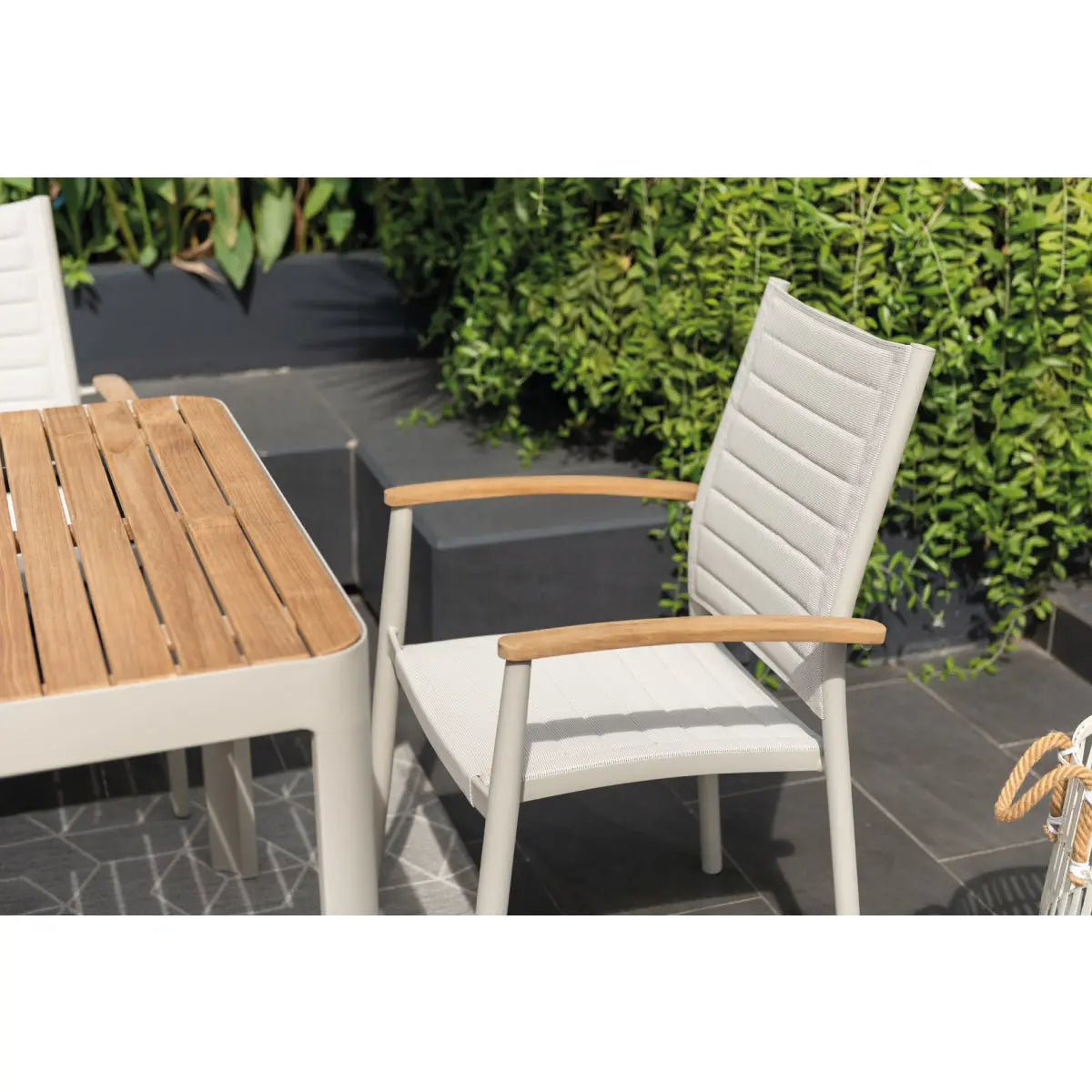 Portals dining chair Desert River Rentals