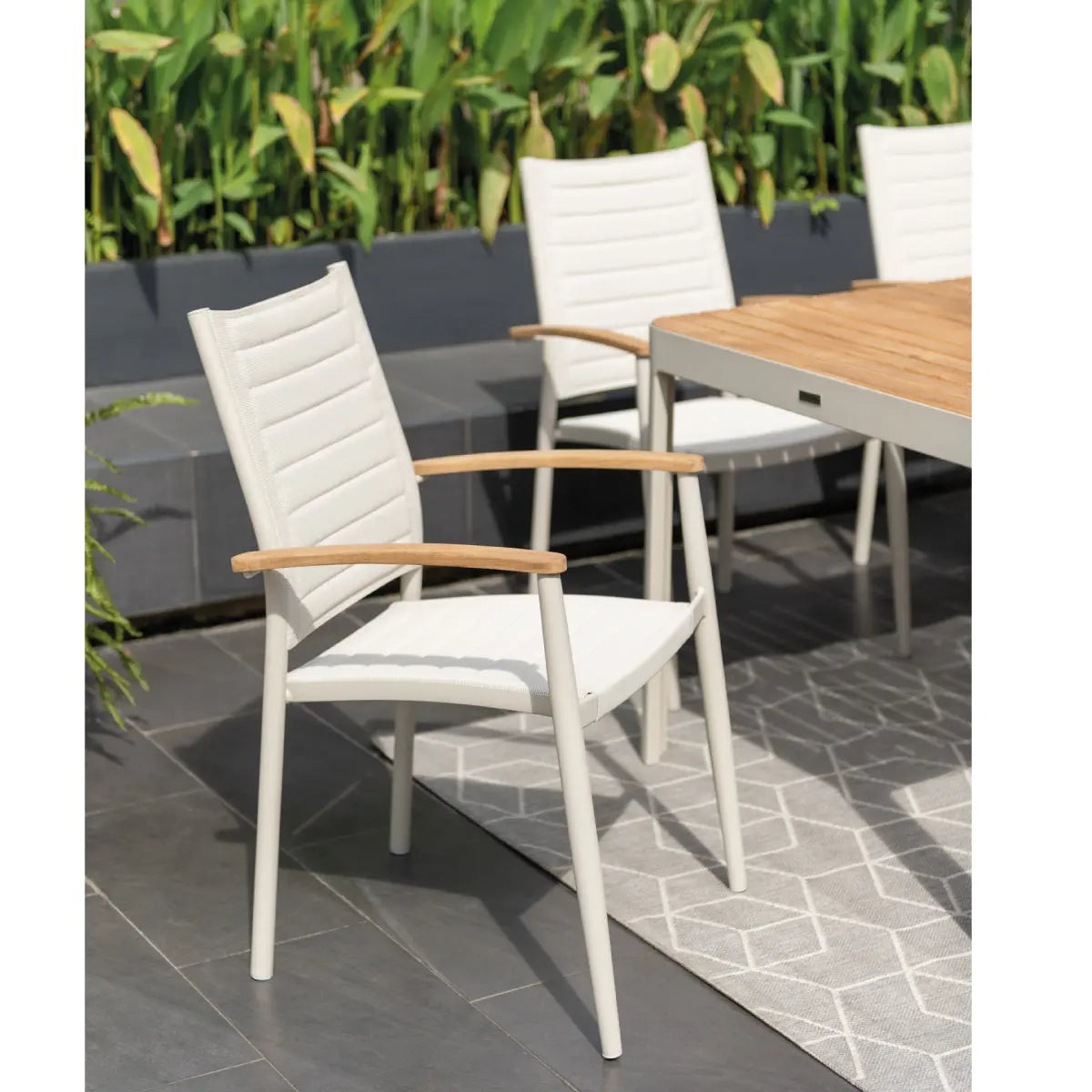 Portals dining chair Desert River Rentals