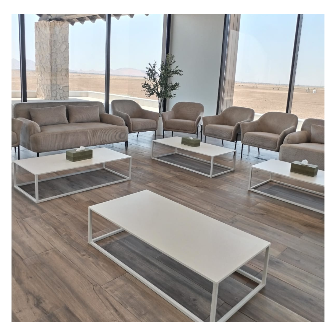 Du Roy Armchair DesertRiver.rentals