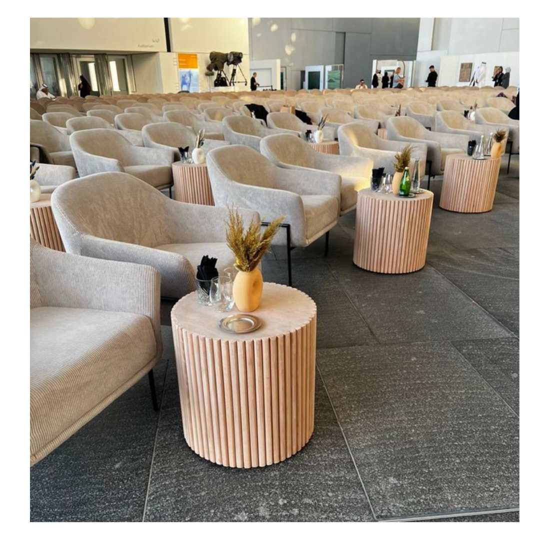 Du Roy Armchair DesertRiver.rentals