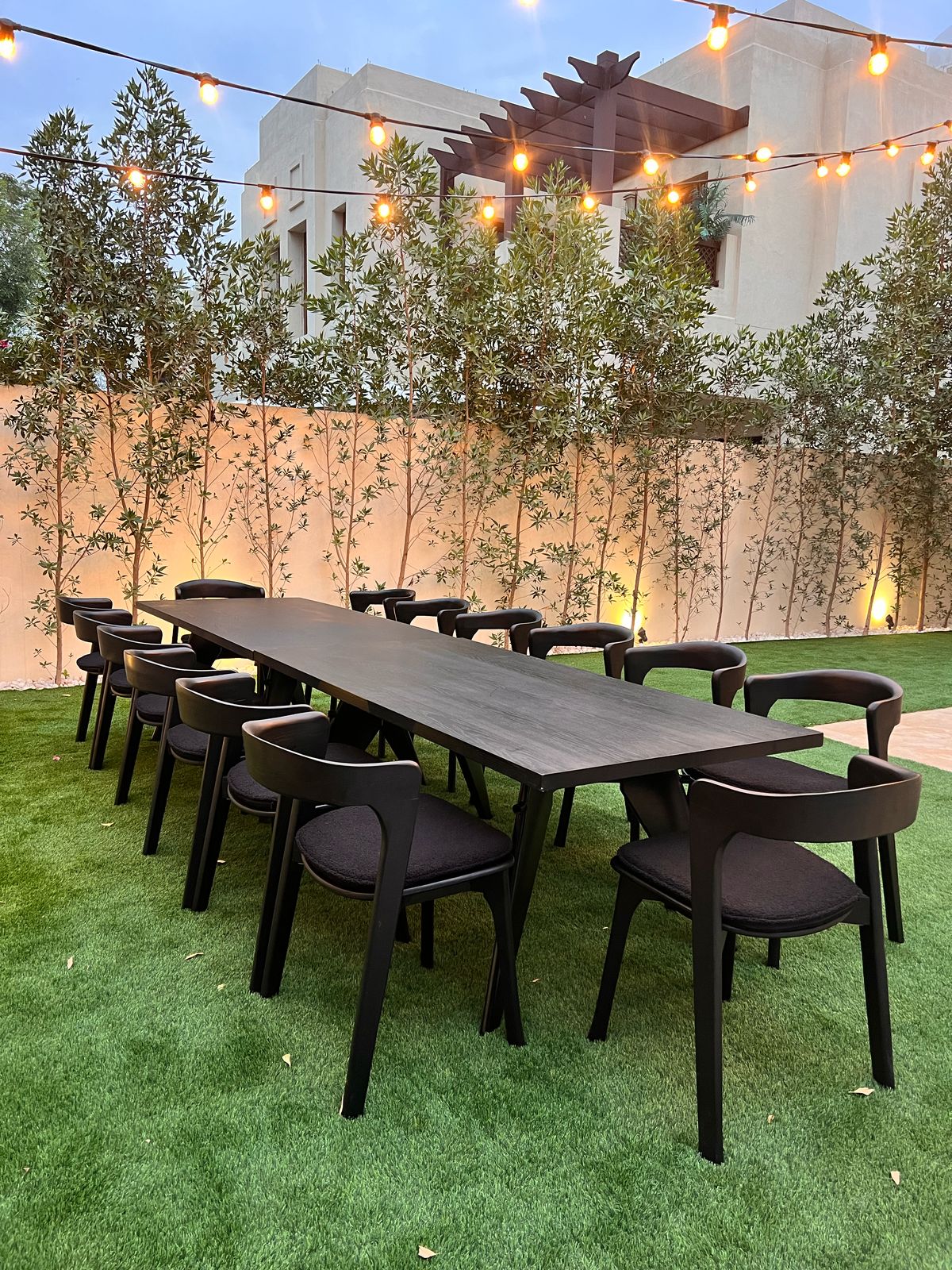 Nino Dining Chair (Black Elmwood with Seat Pad)